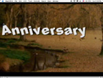 MacVCD X Full Screen video media player